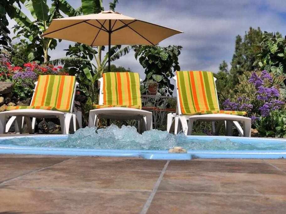 Finca Los Tamarillos Санта Крус де Тенерифе Екстериор снимка