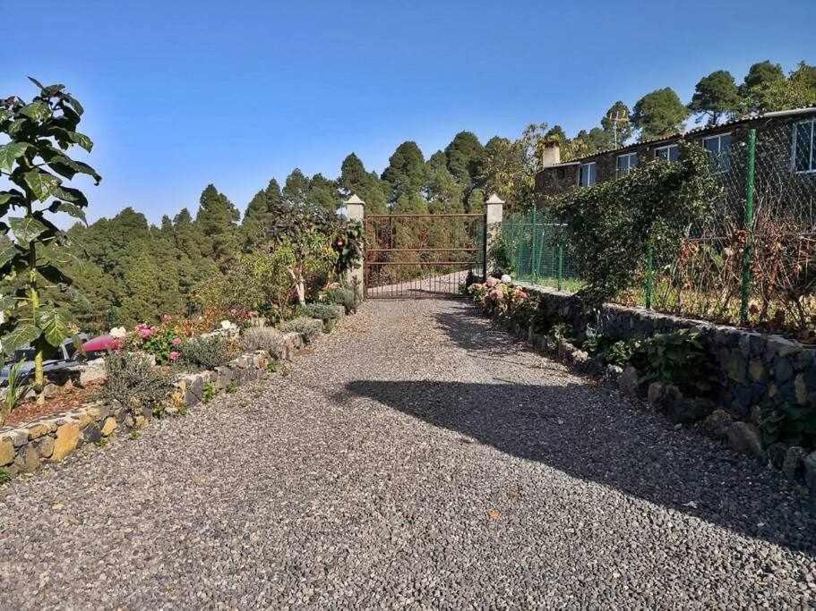 Finca Los Tamarillos Санта Крус де Тенерифе Екстериор снимка